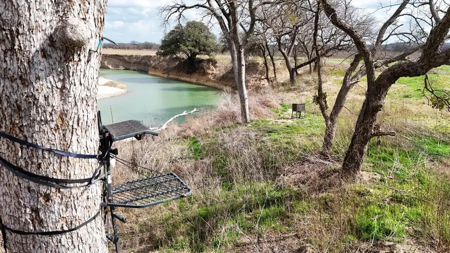 220 County Road 3310, Valley Mills, TX 76689 - #3