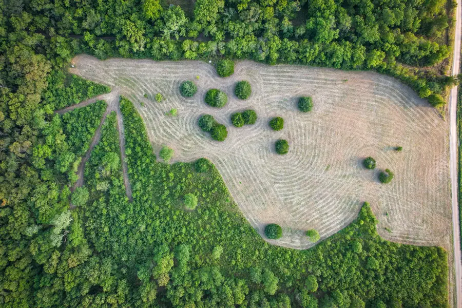 TBD County Road 3550, Honey Grove, TX 75446 - #2