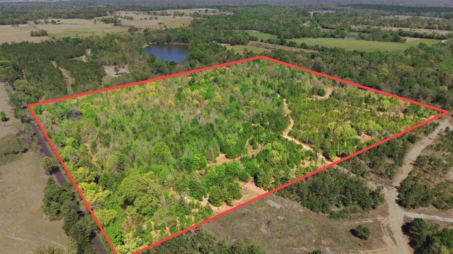 TBD Cr 2382, Alba, TX 75410 - #2