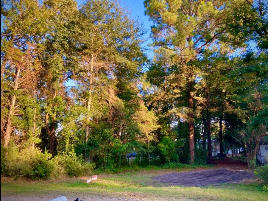 262 E Walnut Trail, Murchison, TX 75778 - #2