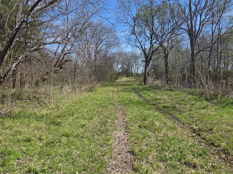 294 County Road 2809, Honey Grove, TX 75446 - #3