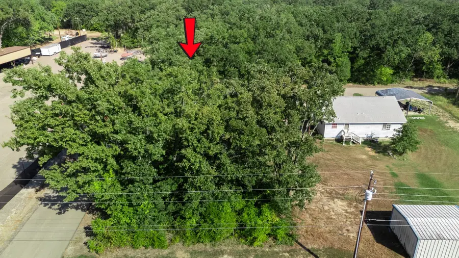 529 Randall Drive, Mabank, TX 75156 - #3