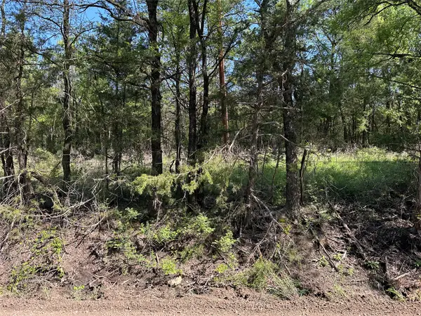 Tract 14 County Road 2951, Honey Grove, TX 75446