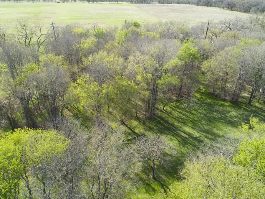 352 Sugartree Circle, Lipan, TX 76462 - #3