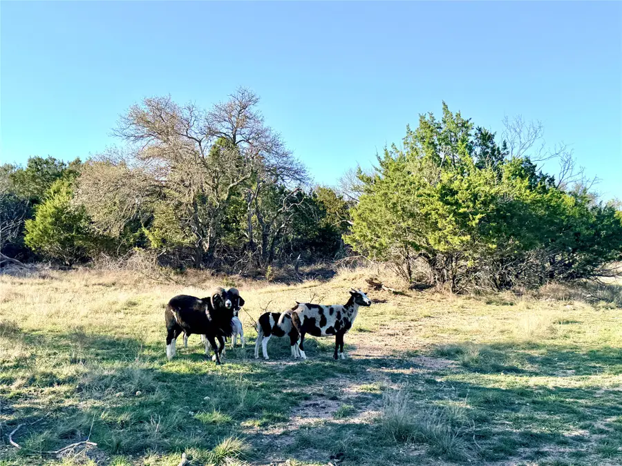 65 County Road 406, Goldthwaite, TX 76844 - #3