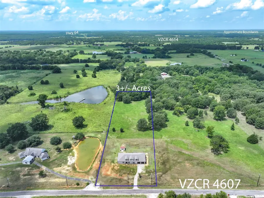 1461 Vzcr Road 4607, Ben Wheeler, TX 75754 - #2