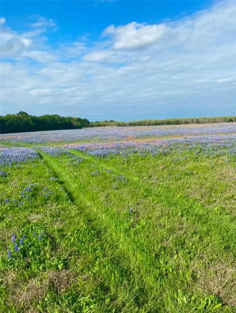 TBD Kirkland Hill Road, Axtell, TX 76624 - #2