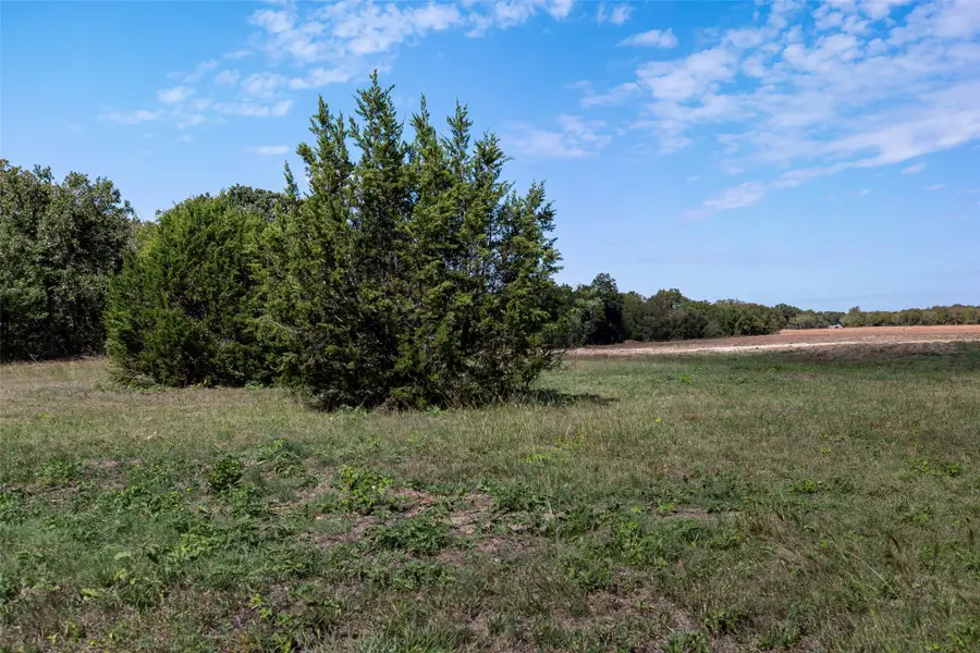 TBD Overton Ct, Granbury, TX 76048 - #3