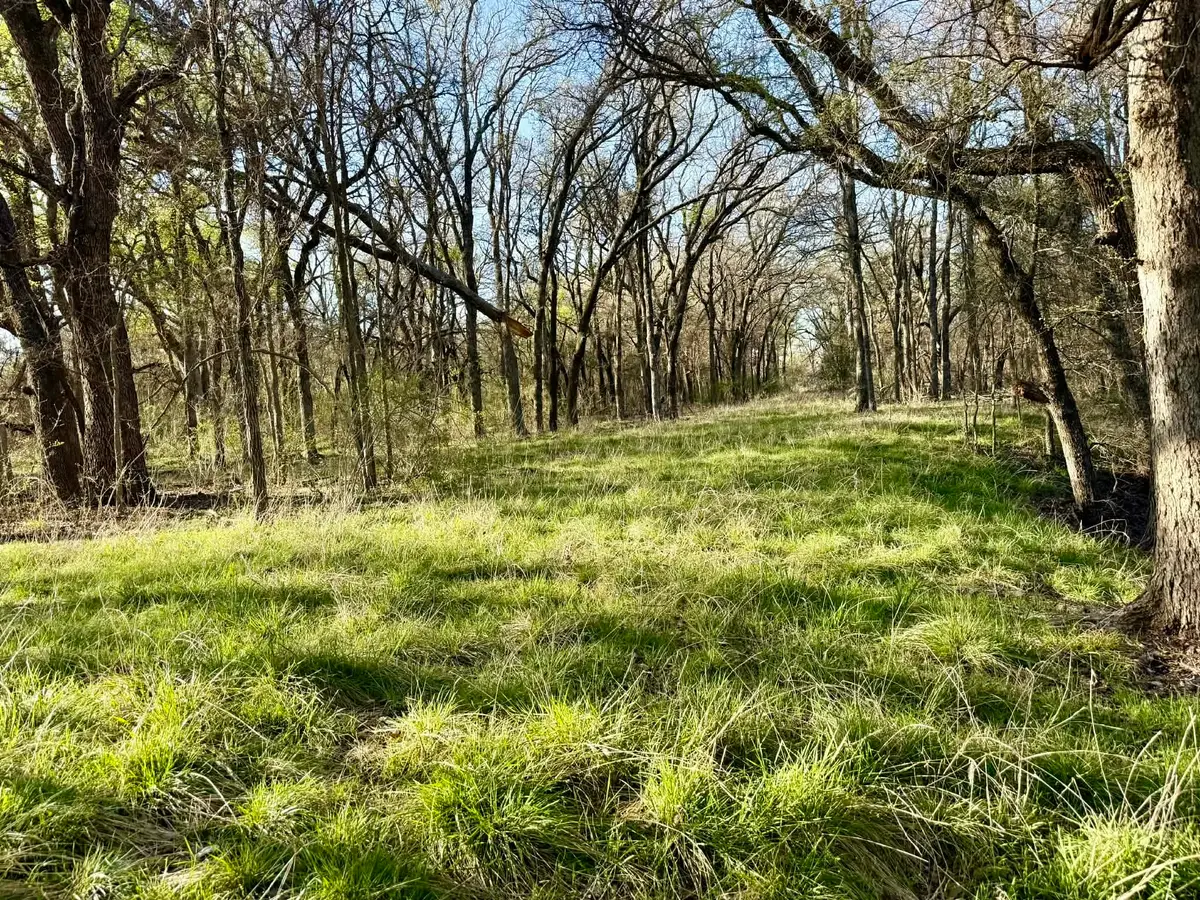 TBD 20.02 acres Cr 328, Dublin, TX 76446 - #1