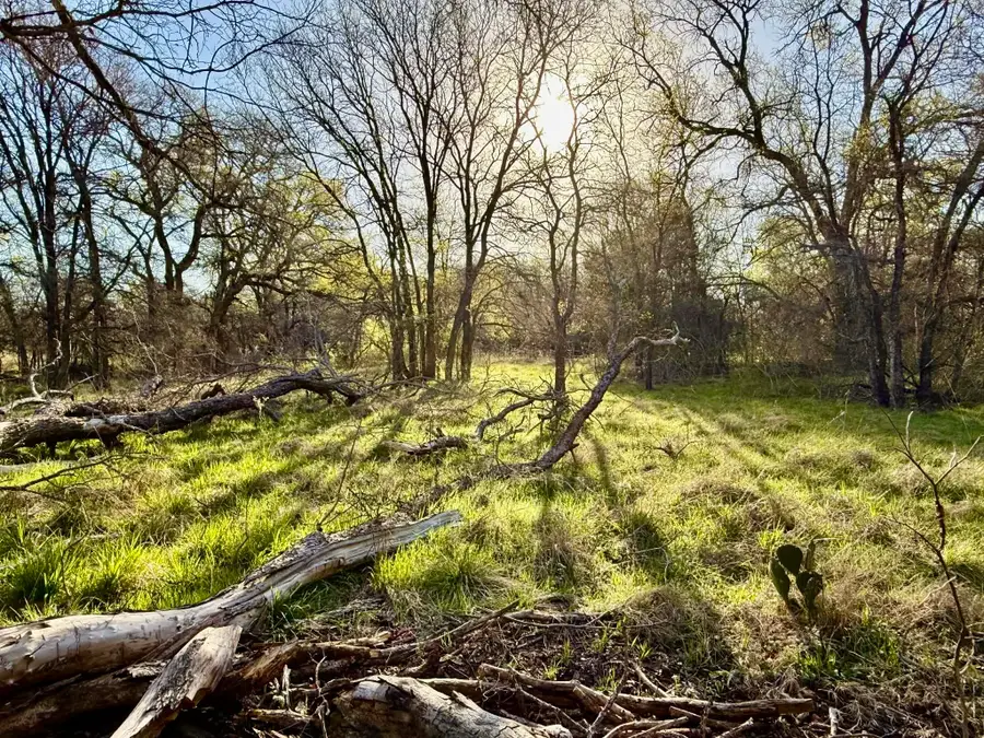 TBD 20.02 acres Cr 328, Dublin, TX 76446 - #3