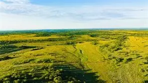 TBD Cr 247, Oplin, TX 79510 - #3