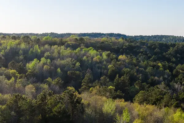 0 Farm To Market Road 747, Jacksonville, TX 75766