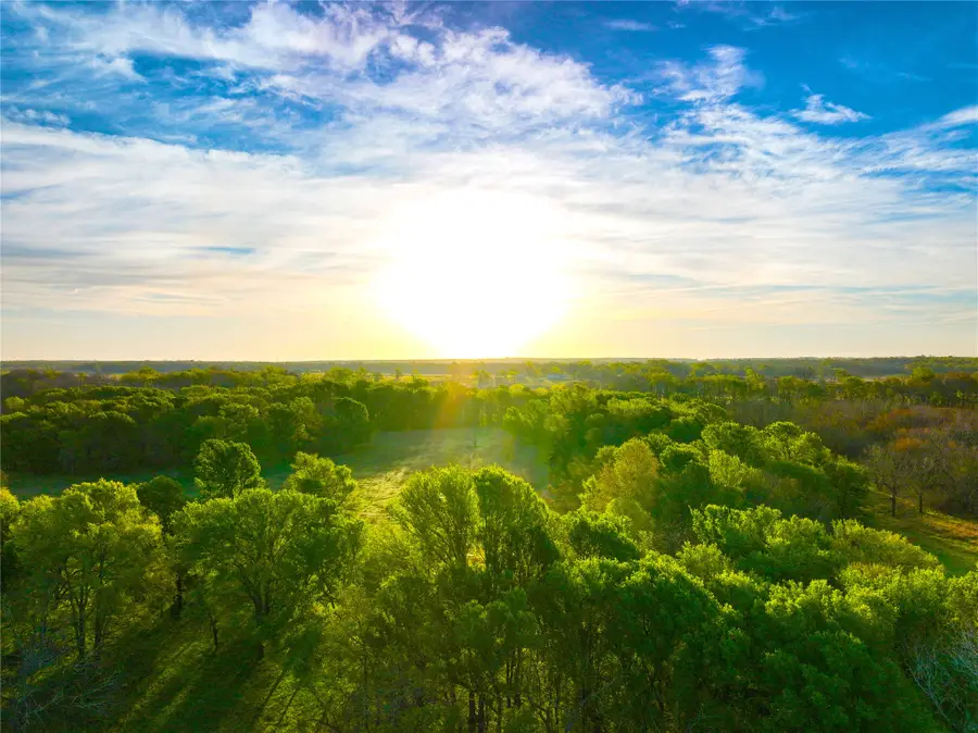 TBD Cr 386, Marquez, TX 77865 - #3