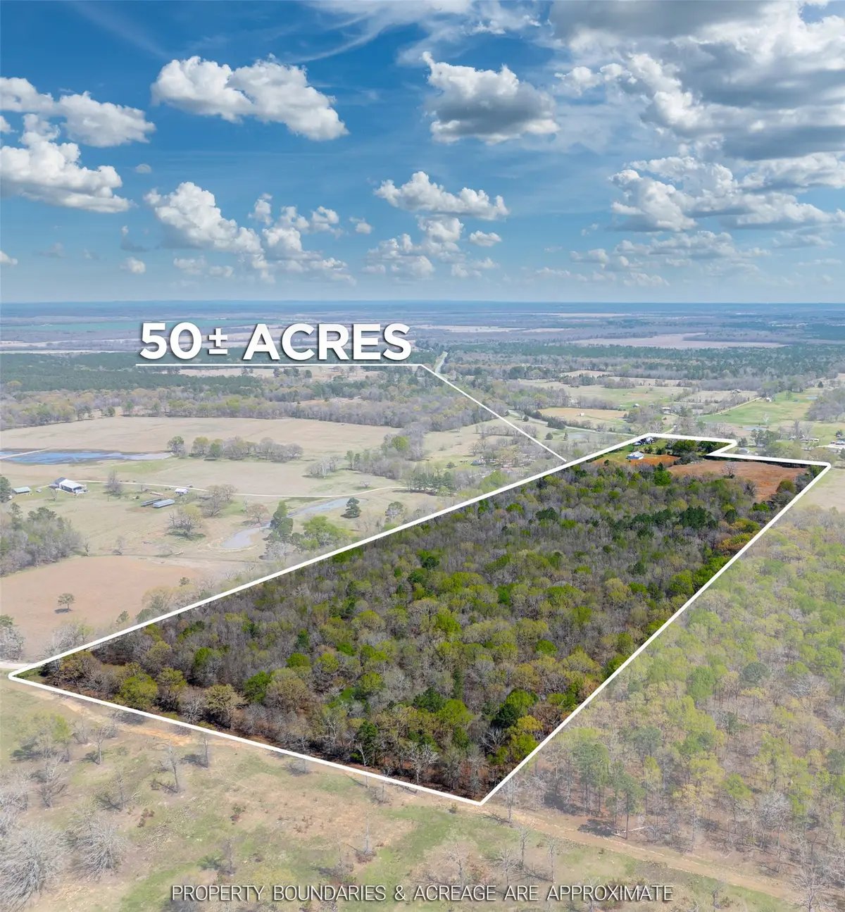 48 County Road 2360, Bagwell, TX 75412 - #1
