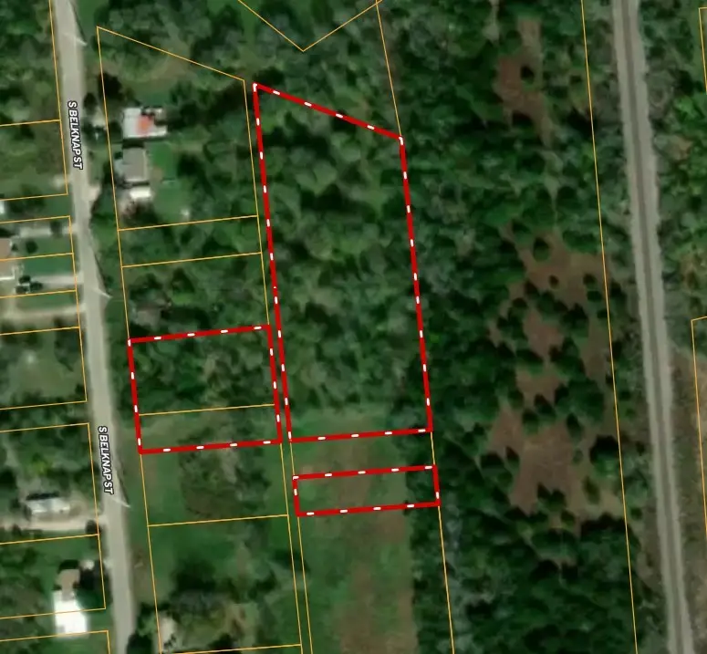 1007 S Belknap Street, Mexia, TX 76667 - #1