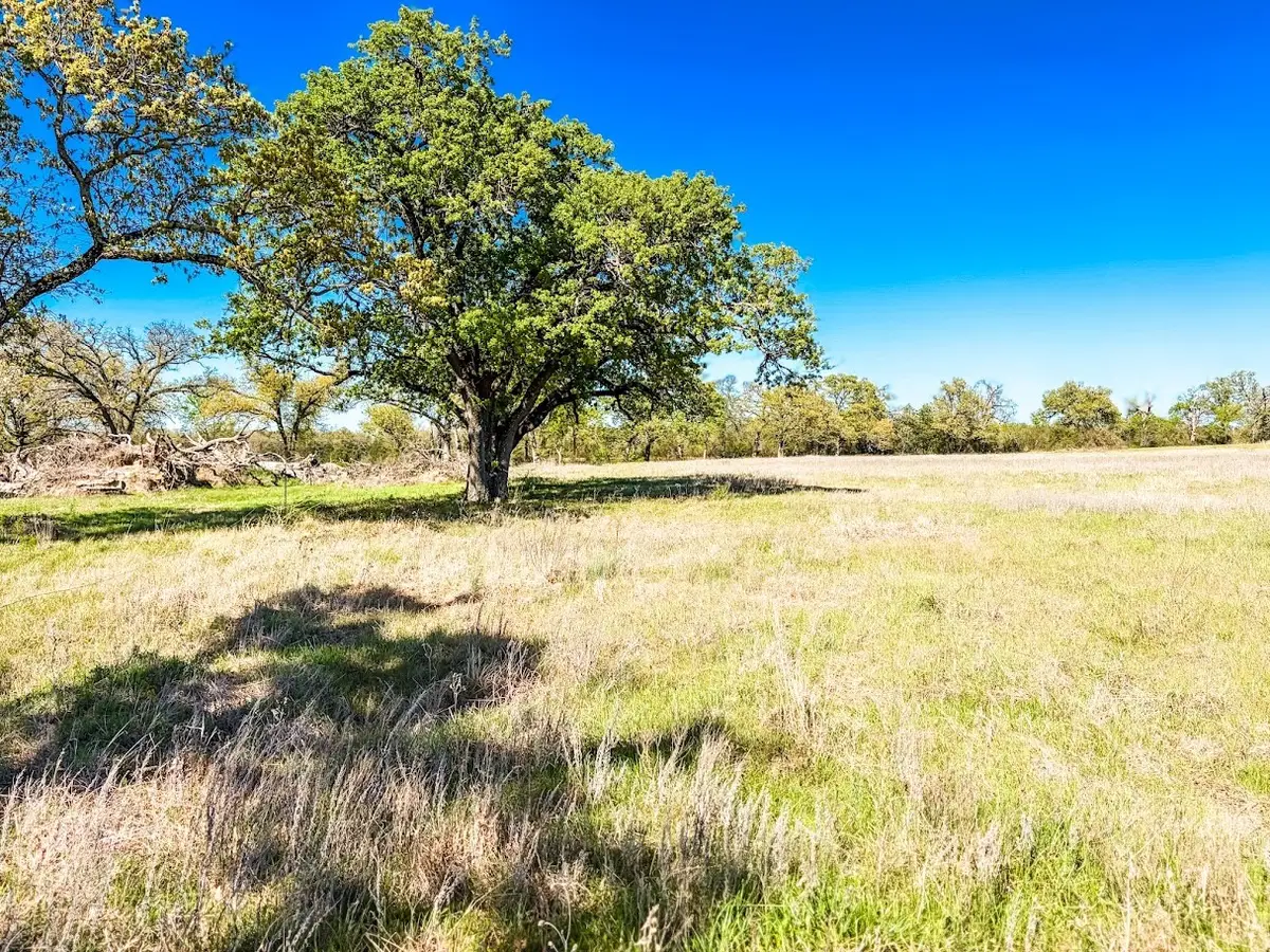 TBD Tract 4 County Road 930, Teague, TX 75860 - #1