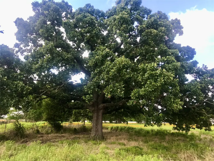 0000 Tbd I-20 Frontage, Wills Point, TX 75169 - #2