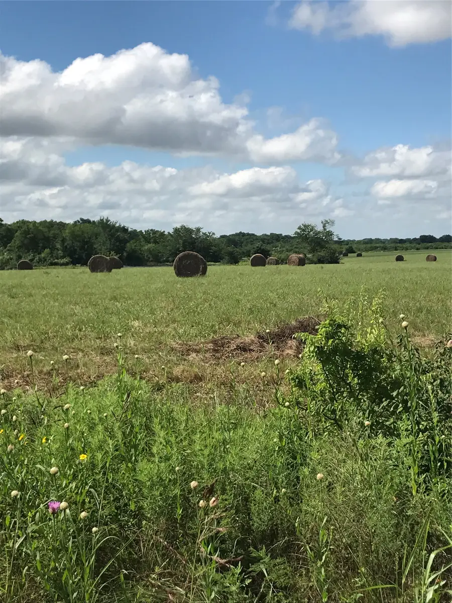 0000 Tbd I-20 Frontage, Wills Point, TX 75169 - #3