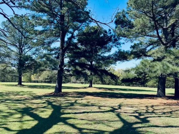 TBD County Road 3357, Emory, TX 75440