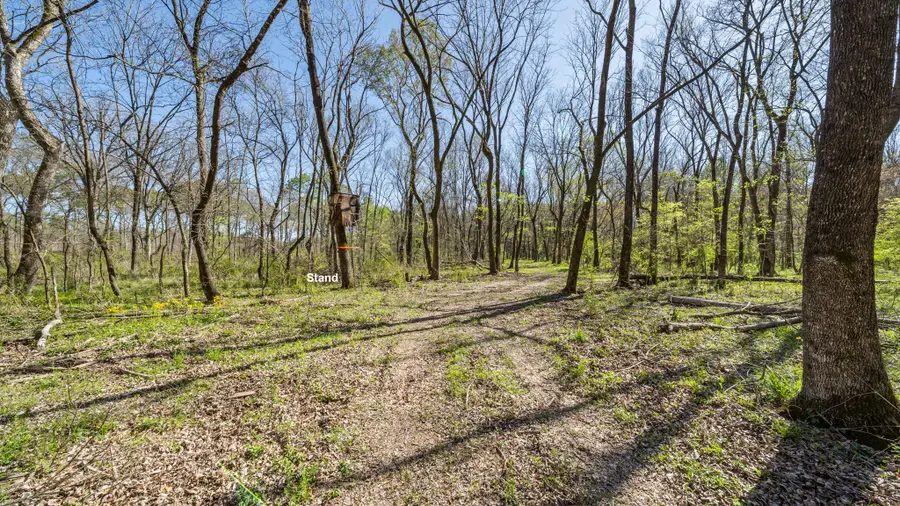 TBD County Road 462, Mineola, TX 75773 - #2