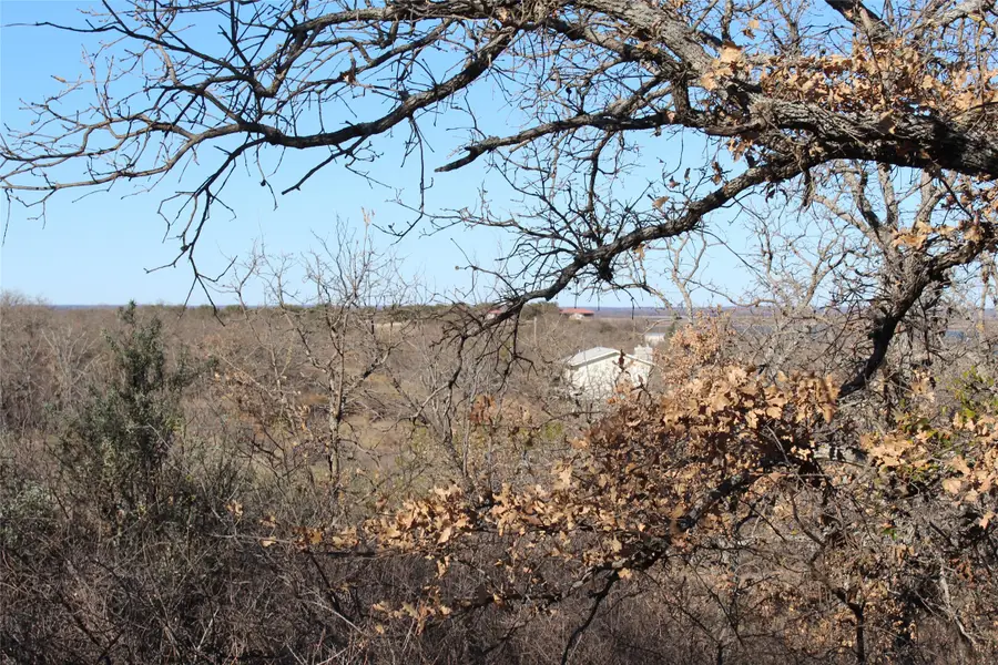 5079 County Road 206, Breckenridge, TX 76424 - #3