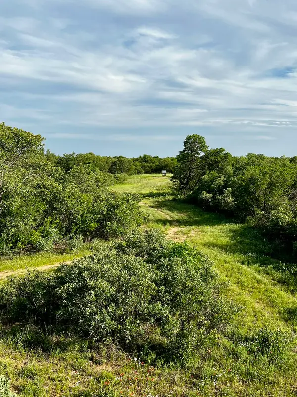 3599 County Road 413, Anson, TX 79501