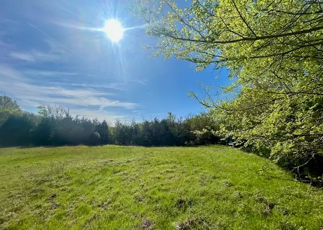 TBD Fm 1512, Jewett, TX 75846 - #3