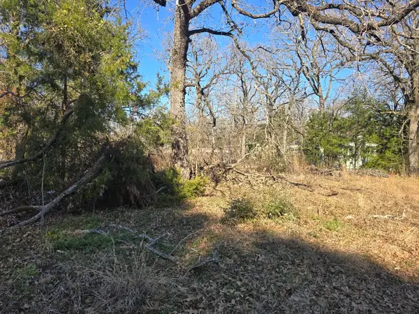 Lot 699 Shady Grove Road, Gun Barrel City, TX 75156