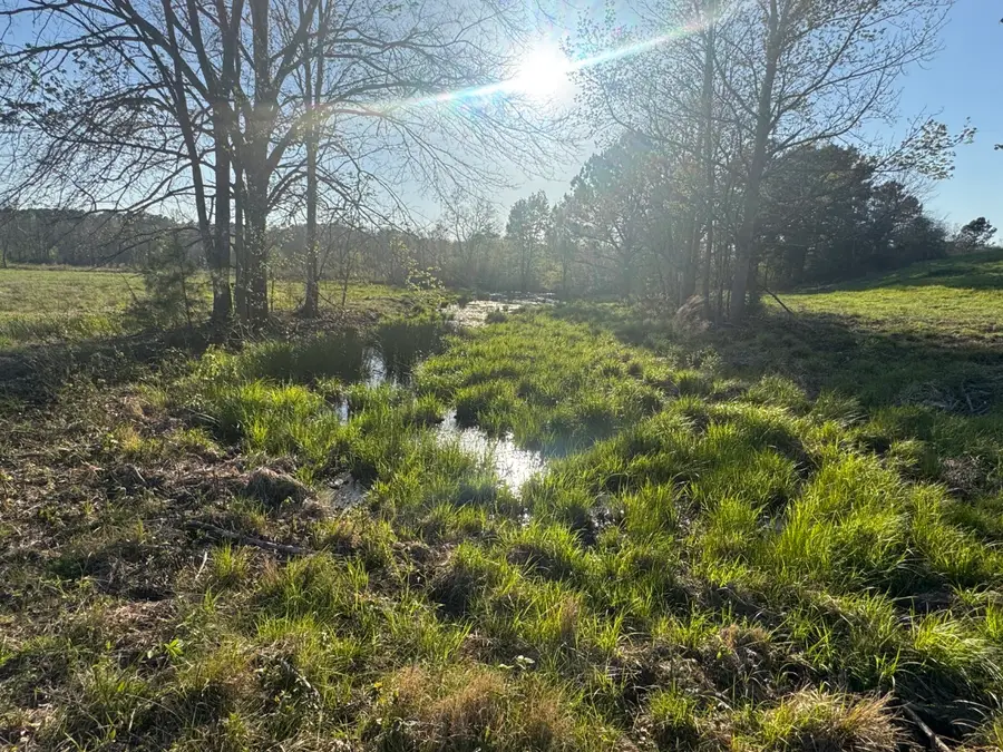 TBD N County Road 143, San Augustine, TX 75972 - #2