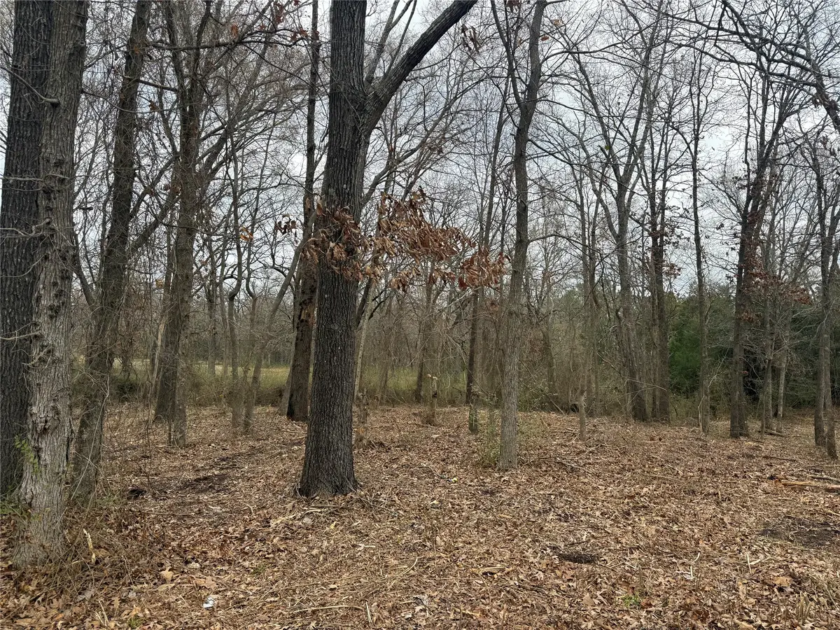 TBD (lot 8) Florence Street, Grand Saline, TX 75140 - #1