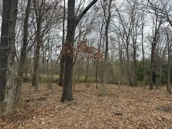 TBD (lot 8) Florence Street, Grand Saline, TX 75140