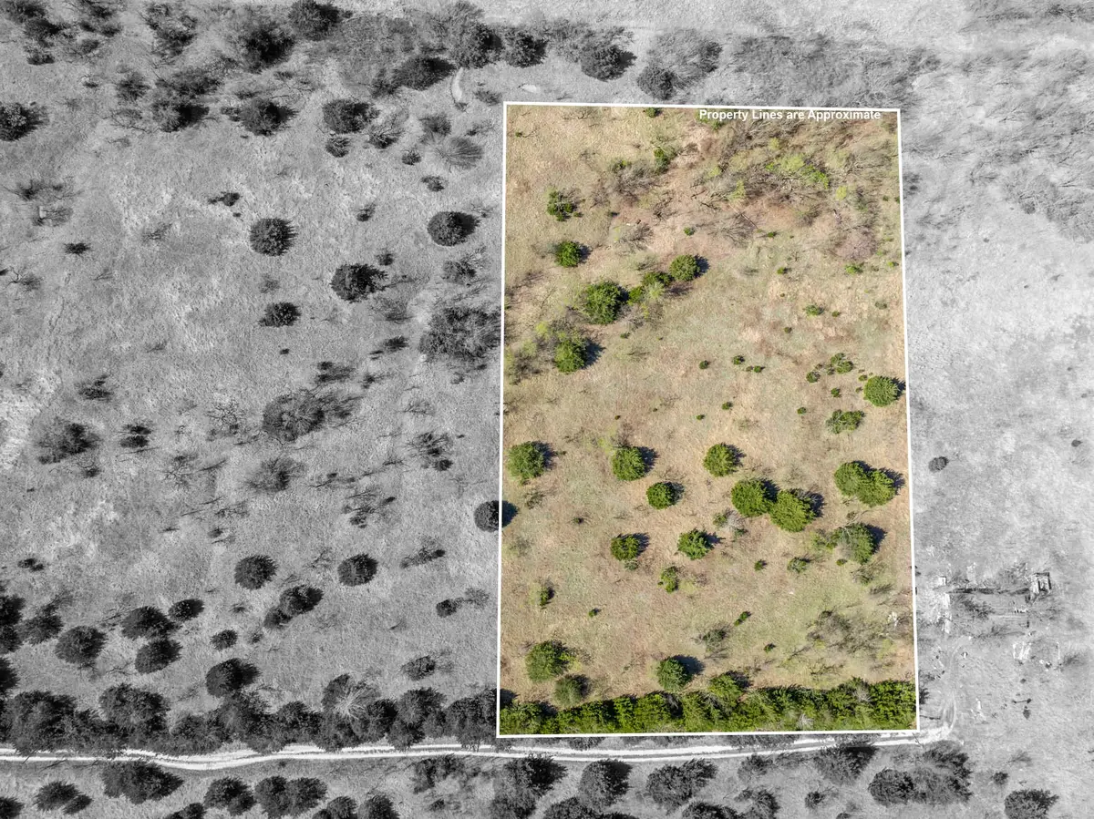 843 Lake Ridge Road, Avalon, TX 76623 - #1