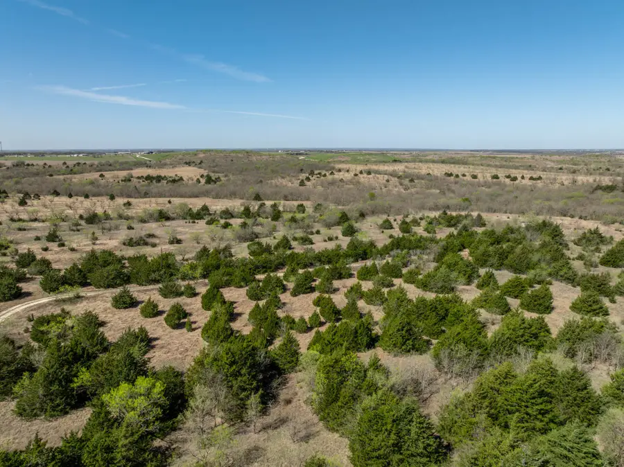 843 Lake Ridge Road, Avalon, TX 76623 - #3