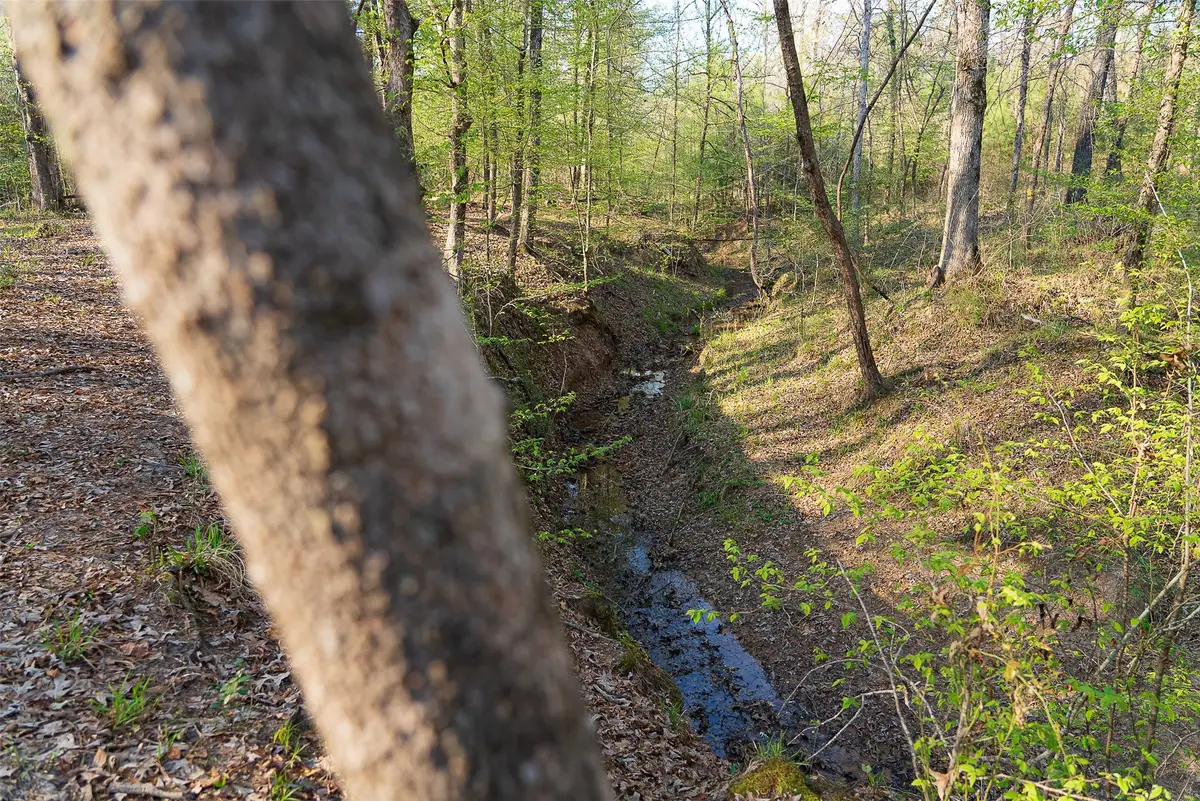 00 Off Of State Highway 294, Alto, TX 75925 - #1