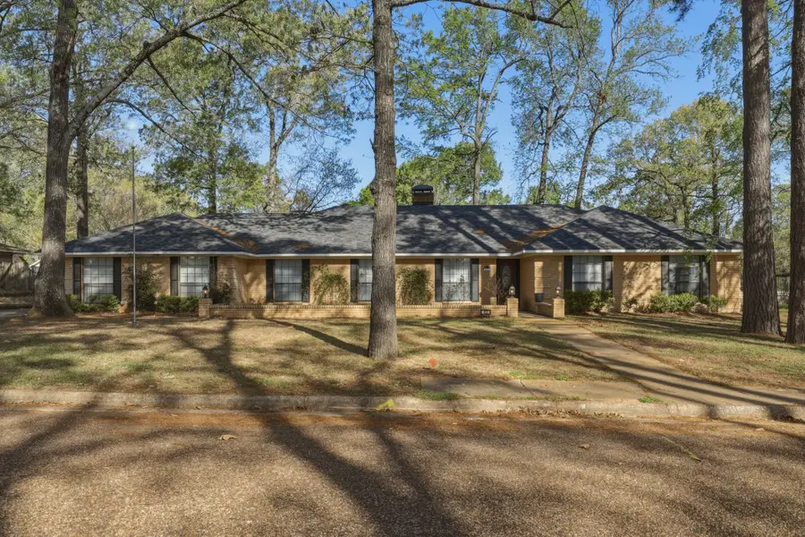 412 Nathan Drive, Quitman, TX 75783 - #2