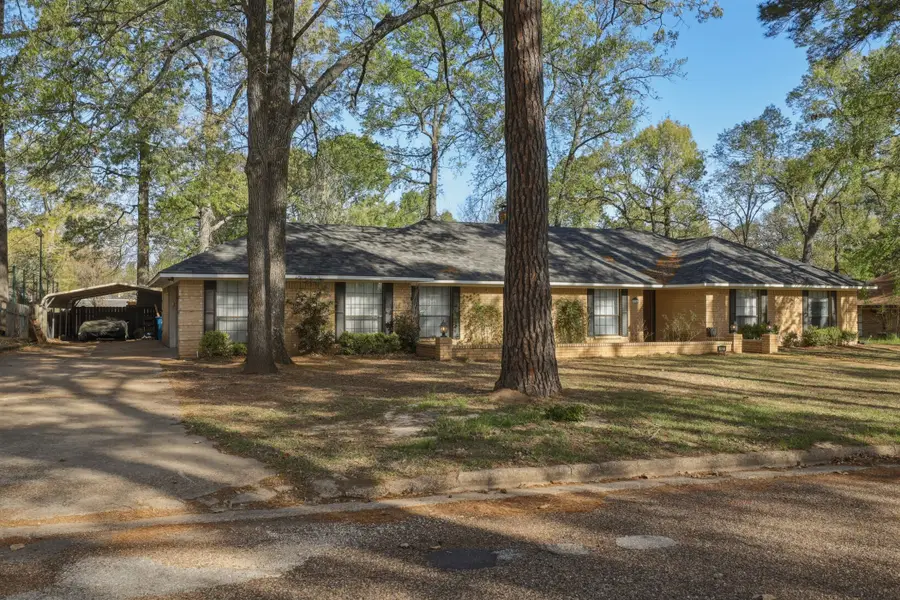 412 Nathan Drive, Quitman, TX 75783 - #3
