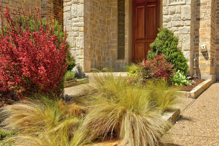 5476 Balmoral Drive, Frisco, TX 75034 - #2