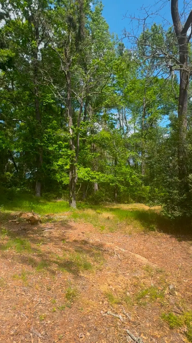 0 Turner Lane, Shreveport, LA 71106 - #1