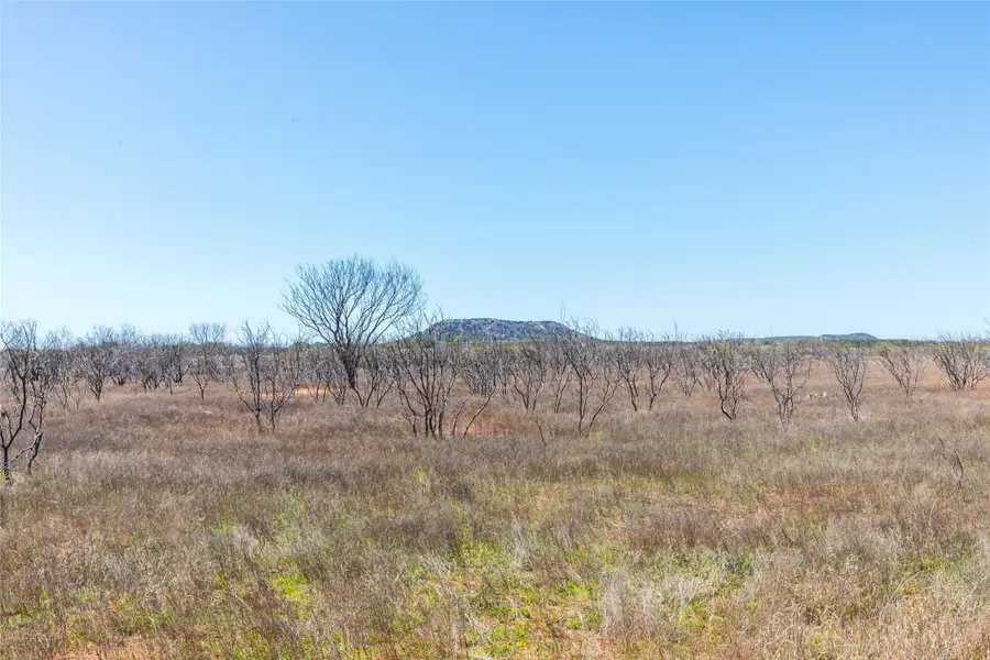 TBD Cr 614, Ovalo, TX 79541 - #3