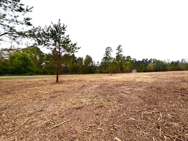 TBD (Tract C) Fm 711, Center, TX 75935