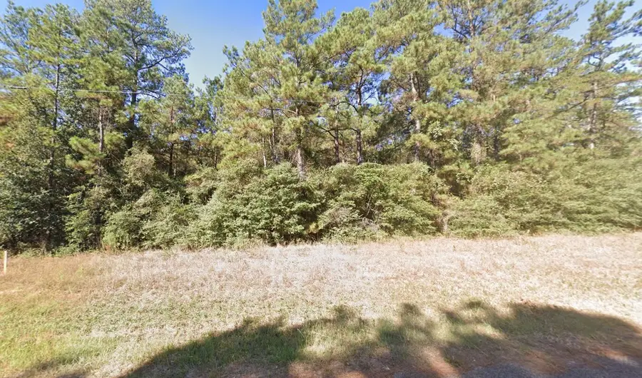 17050 Adler Road, Waller, TX 77484 - #2