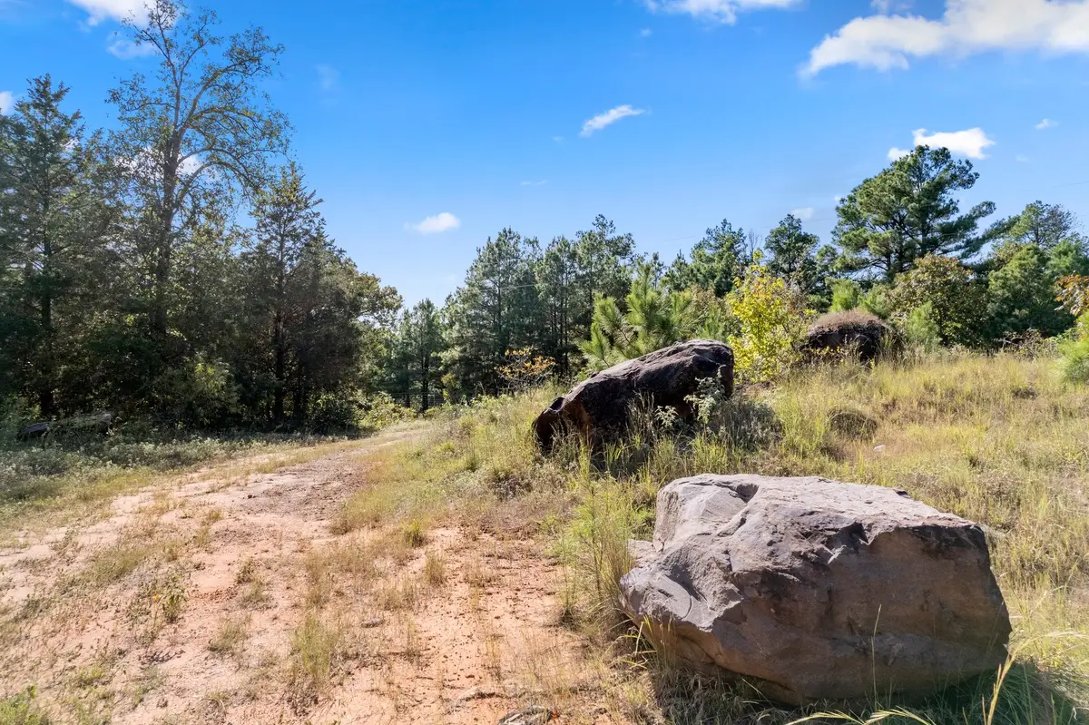 16 Acres Cr 3350, Mount Vernon, TX 75457 - #1