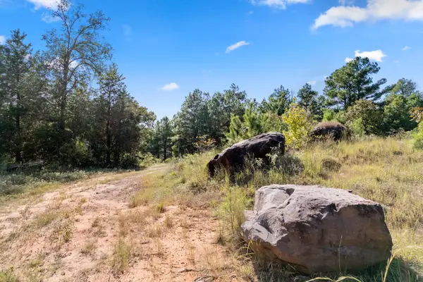 16 Acres Cr 3350, Mount Vernon, TX 75457