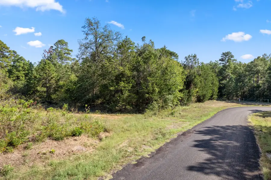 16 Acres Cr 3350, Mount Vernon, TX 75457 - #2