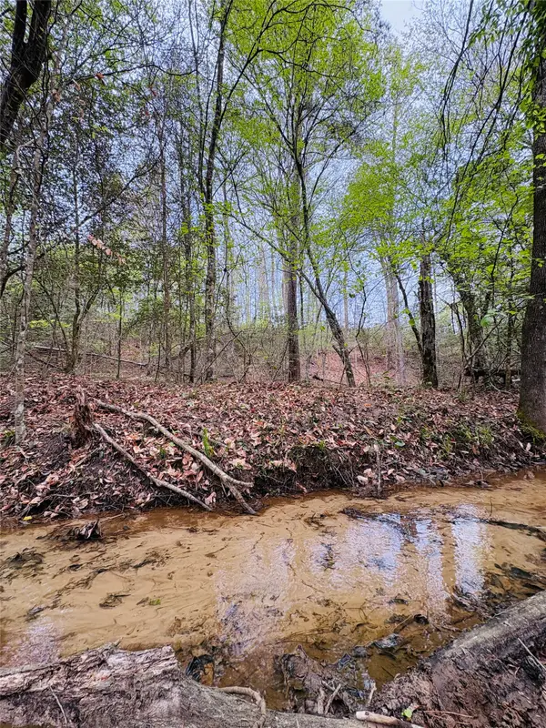 TBD (Tract B) Fm 711, Center, TX 75935