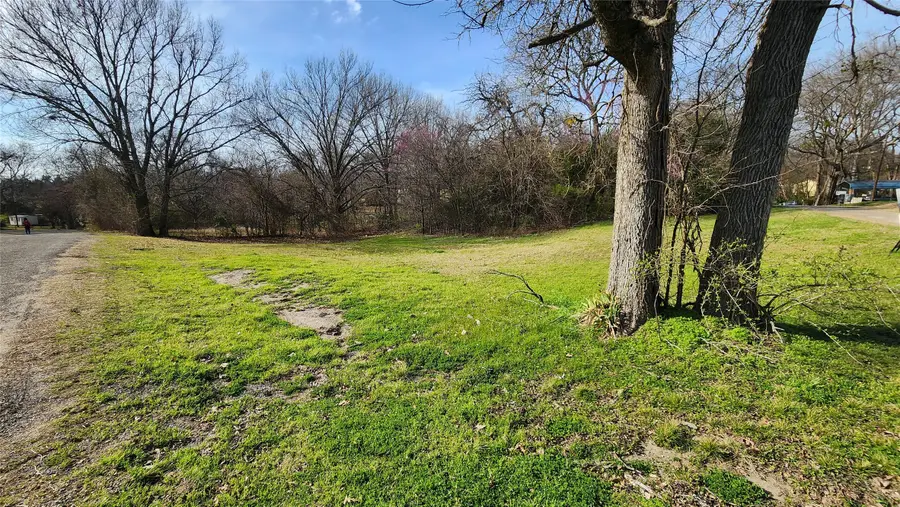 Lot 167 County Road 1633, Lone Oak, TX 75453 - #3