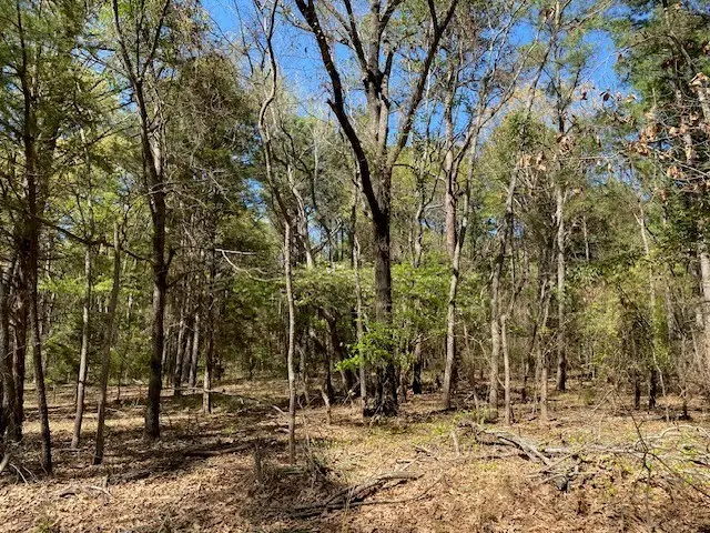 TBD Broad Meadows, Murchison, TX 75778 - #2