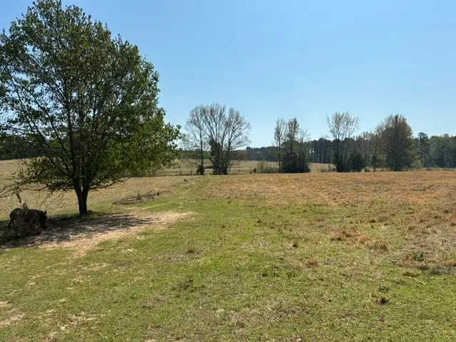 D-1 Dorcheat Road, Minden, LA 71055 - #3