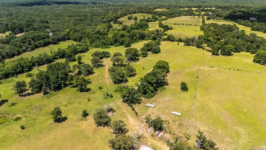 TBD Fm 773, Murchison, TX 75778 - #2