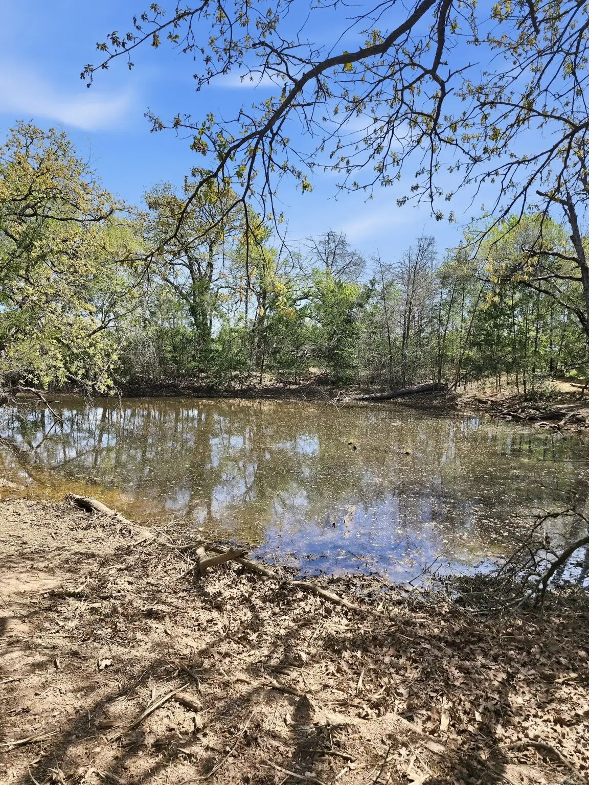 533 Lcr 721, Kosse, TX 76653 - #1